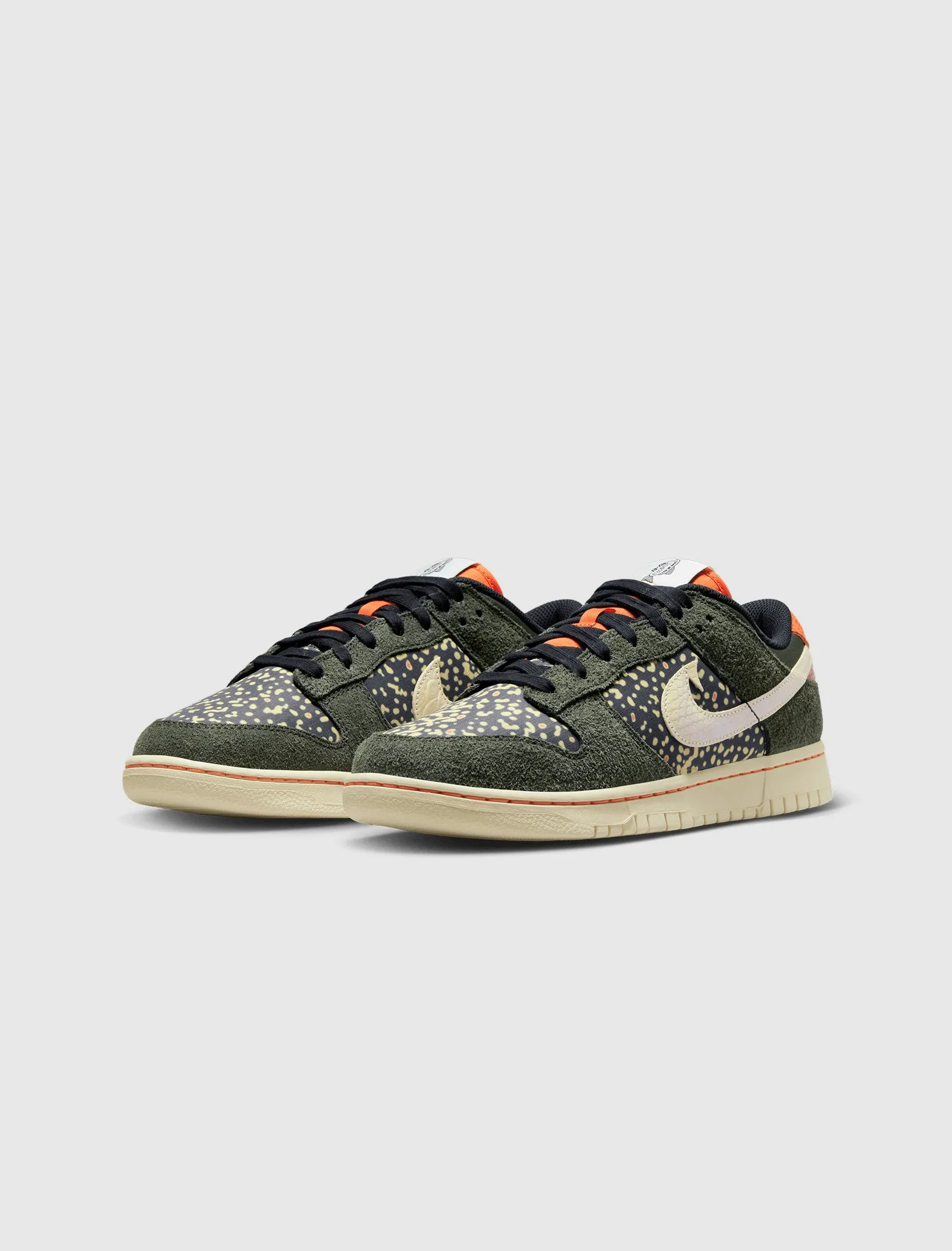 Dunk Low Retro SE Rainbow Trout - Google SEO optimized: Rainbow Trout Dunk Low Retro SE