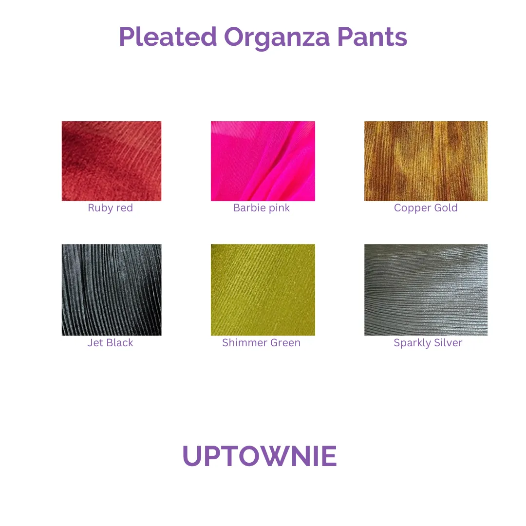 Long Organza Pleated Pants