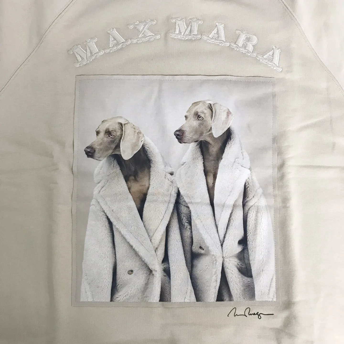 MaxMara hoodies & sweatshirts - Long sleeves, street style, cotton and logo